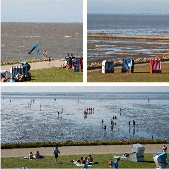 Deichwohnung Strandweg 7 Friedrichskoog-Spitz Zewnętrze zdjęcie